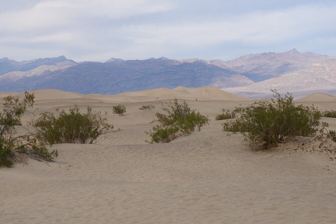 Death Valley Small Group Day Tour From Las Vegas - Additional Information