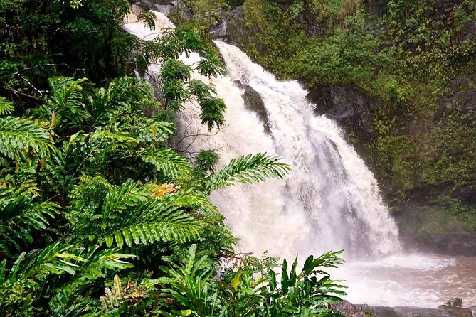 Deluxe Halfway to Hana: Private Tour From Kahului - Guide Accommodations