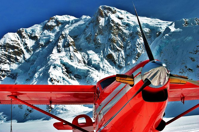Denali Experience Flightseeing Tour From Talkeetna - Meeting and Logistics