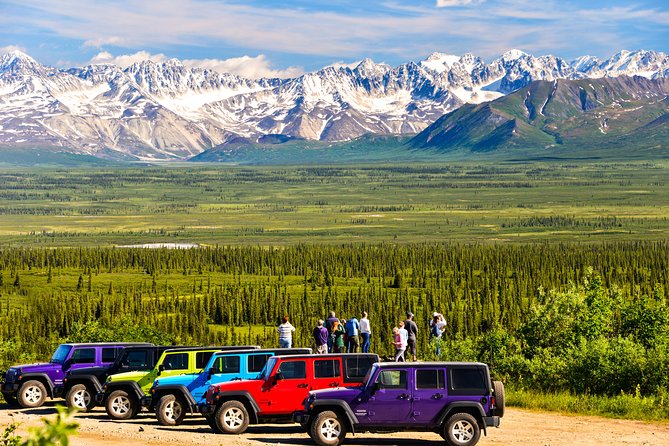 Denali Highway Jeep Excursion - Wildlife Encounters and Alaska Range Views