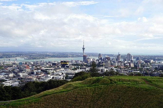 Departure Private Transfer Auckland City to Auckland Airport AKL by Sedan Car - Professional and Experienced Drivers