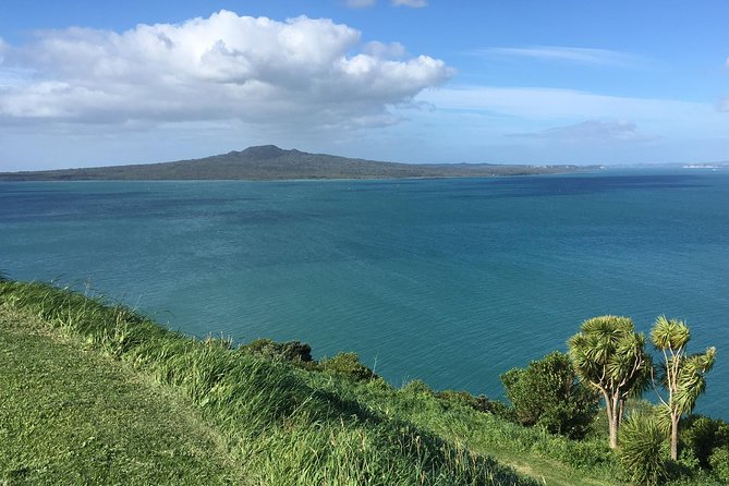 Devonport Volcanoes Afternoon Tour From Auckland - Tour Experience