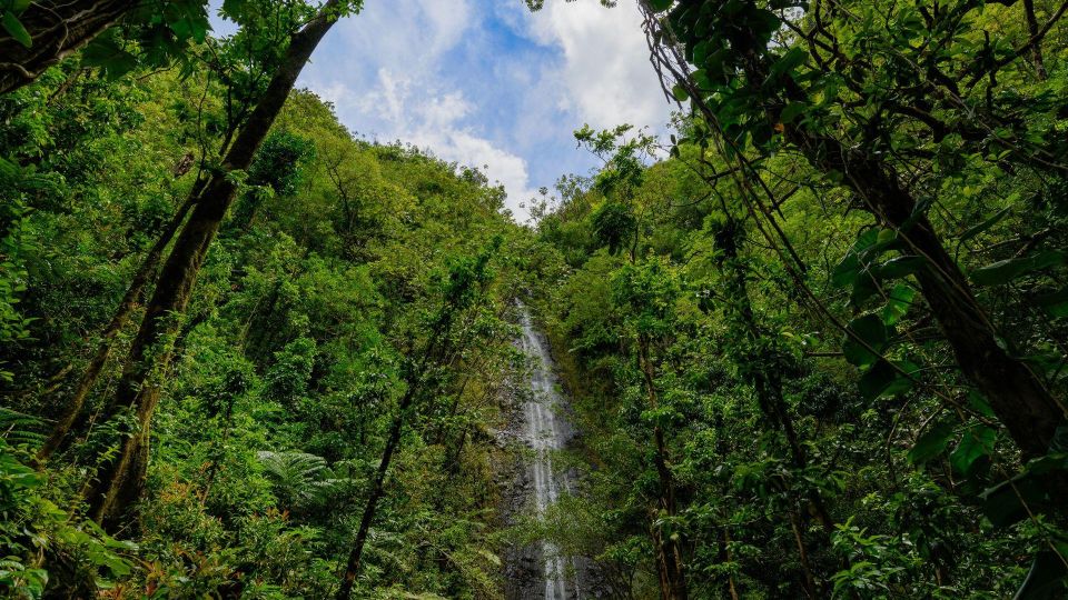 Diamond Head Manoa Falls - Booking Information