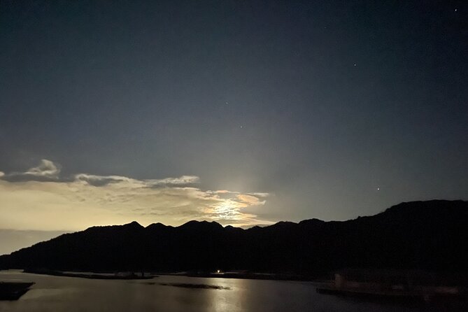 Dinner Cruise on HANAIKADA (Raft-Type Boat) With Scenic View of Miyajima - Food and Beverage Offerings