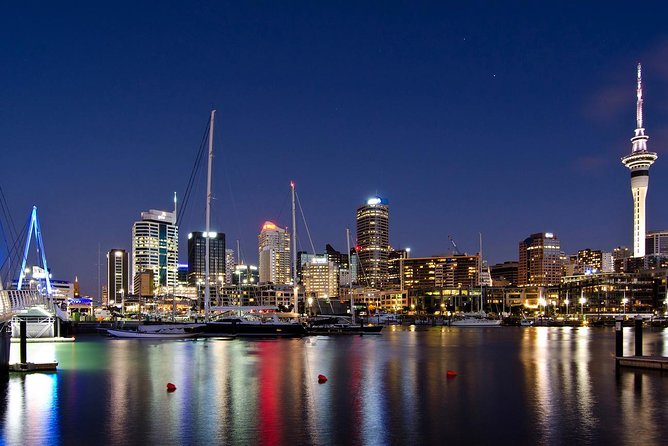 Discover Auckland City - Highlights Tour - Traveler Experience