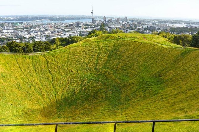 Discover Auckland City With Tour Guide - Accessibility and Additional Information