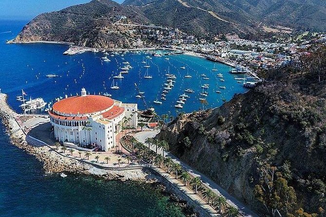 Discover Avalon: Catalina Scenic Tour - Meeting and Pickup