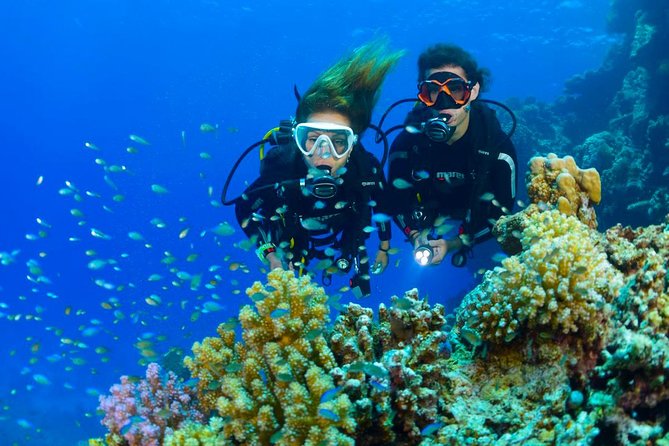 Dive at Tulamben Bali USS Liberty Ship Wreck - Traveler Services and Assistance