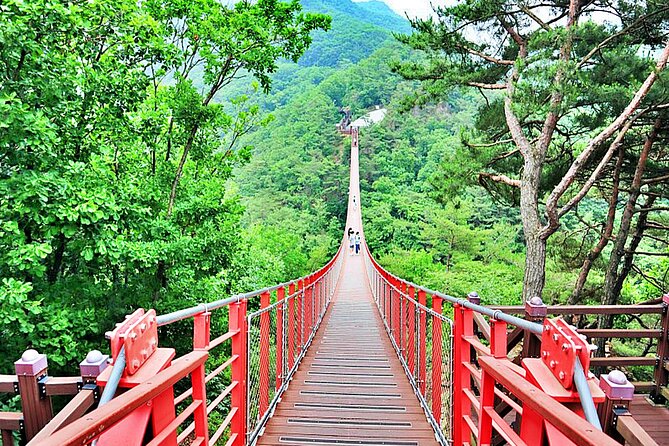 DMZ Full Day Tour With Suspension Bridge - Cancellation Policy