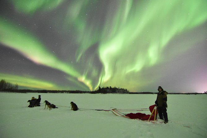 Dog Sledding and Mushing Experience in North Pole - Staff and Musher