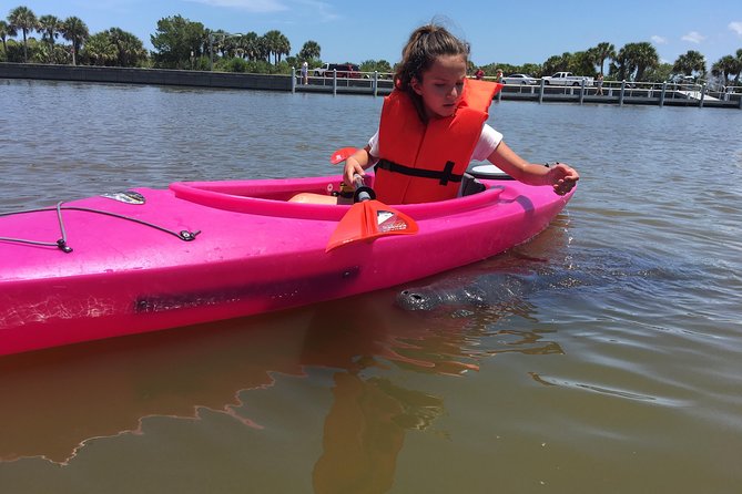 Dolphin & Manatee Kayaking Tour in Orlando Area - Expectations and Recommendations