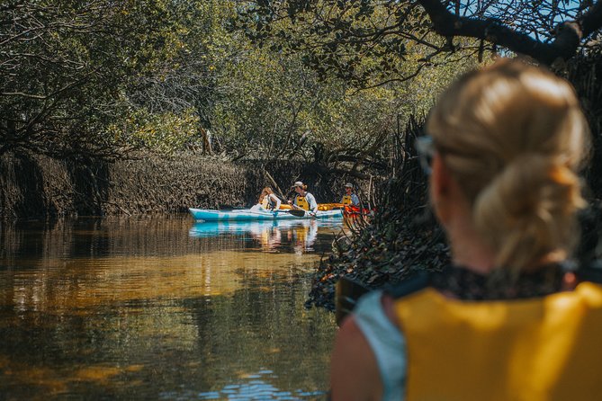 Dolphin Sanctuary Kayak Tour Adelaide - Logistics and Meeting Point