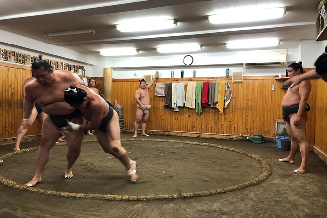 【Stable of Champion】Sumo Morning Practice & Lunch With Wrestlers - Reviews and Traveler Feedback