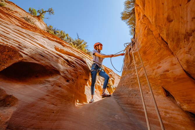 East Zion: Coral Sands Half-day Canyoneering Tour - Safety Measures