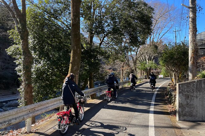 １Day Tokyo Backcountry Okutama With E-Bike - Cancellation Policy