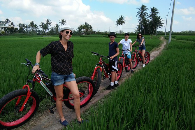 Electric Bike Tour in Ubud - Features of Fatbikes