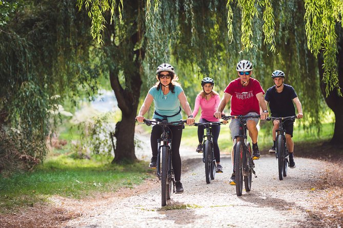 Electric Mountain Bike Hire on Queenstown Trail - Traveler Reviews and Photos