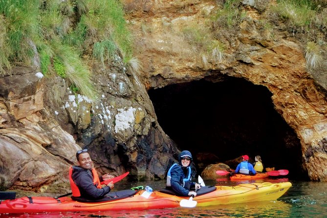 Electric Mountain Bike & Sea Kayak Tour in Akaroa - Booking Information