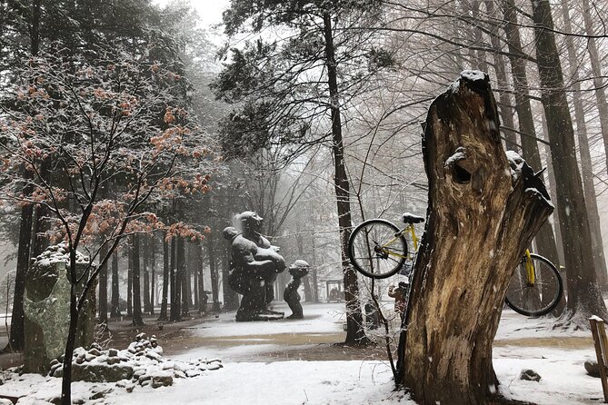 Elysian Gangchon Ski Resort, Nami Island, Garden of Morning Calm - Weather Considerations