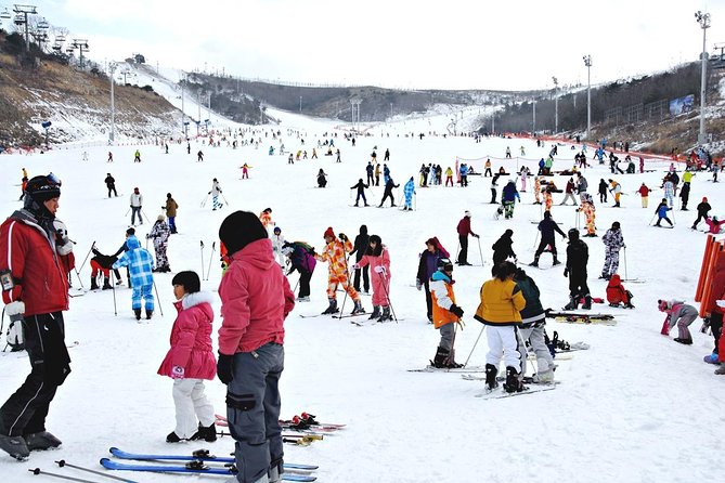 Enjoy Busan Winter at Eden Valley Resort One Day Tour - Customer Reviews and Testimonials