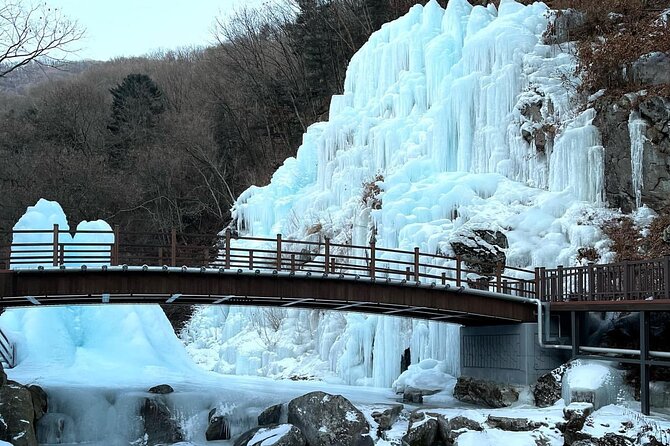 Eobi Ice Valley & Nami Island & Garden of Morning Calm Lighting Festival [Seoul] - Garden of Morning Calm Delight