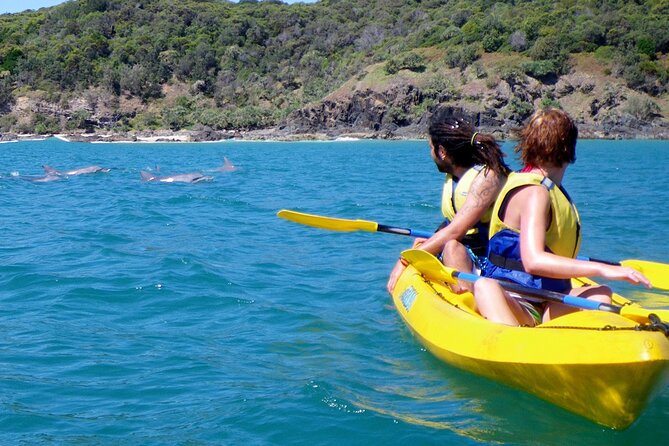 Epic Rainbow Beach Dolphin Kayak and 4WD Adventure Tour - Reviews
