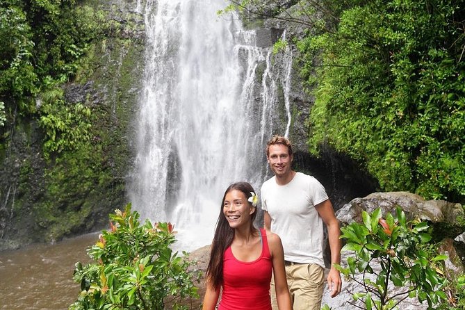 Epic Waterfall Adventure, the Best of Maui - Customer Reviews and Host Appreciation
