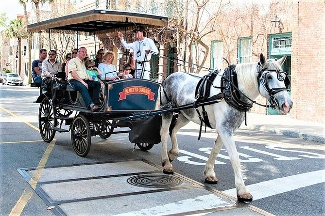 Evening Horse-Drawn Carriage Tour of Downtown Charleston - Customer Reviews
