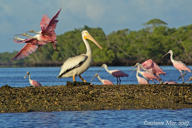 Everglades National Park Dolphin, Birding and Wildlife Boat Tour (2 Hours) - Facilities and Amenities