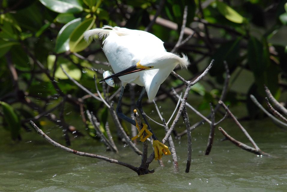 Everglades National Park: Private 2.5-Hour Photo Safari - Common questions