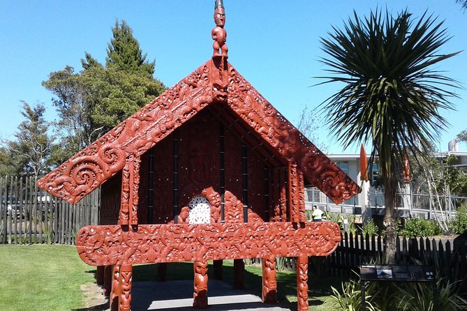 Exclusive Rotorua Cultural and Geothermal Experience From Tauranga - Transport and Logistics Details