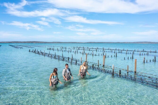 Experience Coffin Bay Oyster Farm and Bay Tour - Experience Highlights