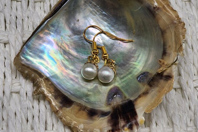 Experience Extracting Pearls From Akoya Oysters - Significance of Akoya Pearls