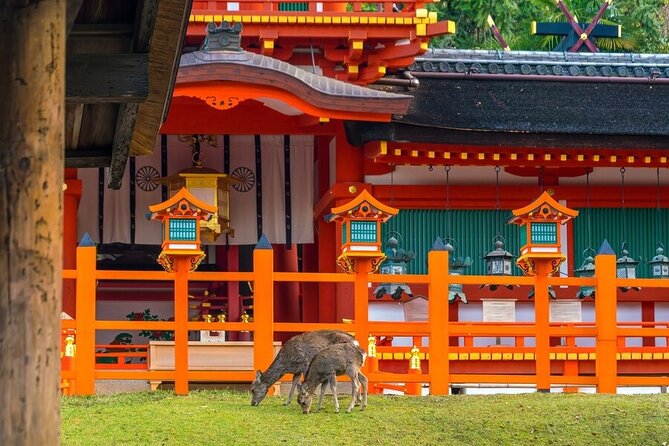 Explore the Best Spots of Arashiyama / Nara in a One Day Private Tour From Kyoto - Nara Deer Park