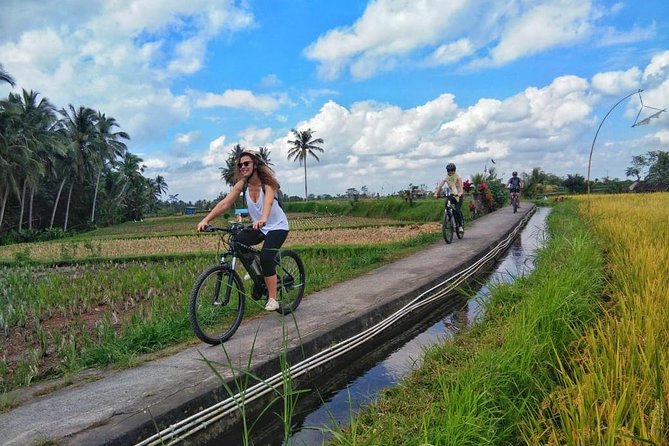 Explore Ubud With Electric Bike - Immerse in Local Culture and Tradition