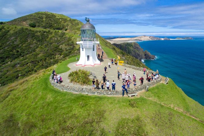 Far North New Zealand Tour Including 90 Mile Beach and Cape Reinga From Paihia - Weather Contingency and Cancellation Policy