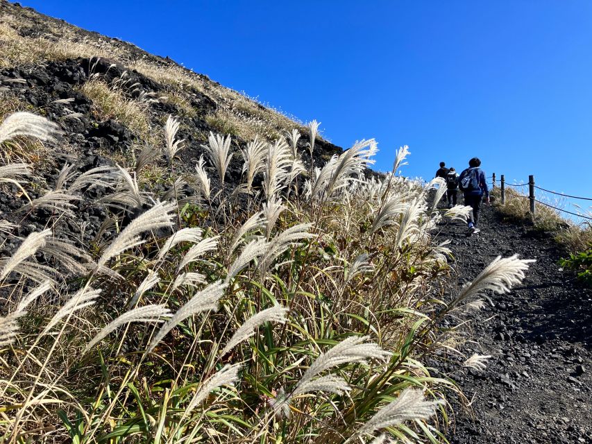 Feel the Volcano by Trekking at Mt.Mihara - Activity Highlights