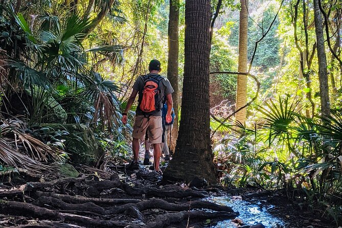 Figure Eight Pools (Sydney Coast Track) Private Guided Hike  - New South Wales - Itinerary Overview