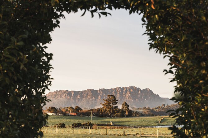 Flavors of Northern Tasmania: Tasting Tour With Private Chef - Culinary Experiences