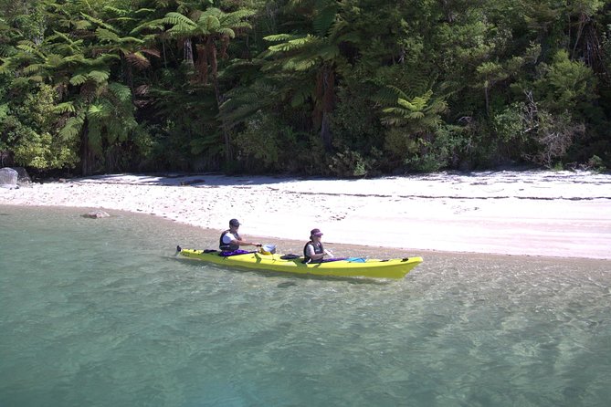 Flexible Kayak Rental From Marahau - Important Expectations to Note
