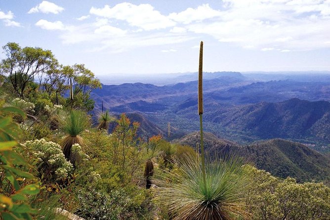 Flinders Ranges 5-Day Small Group 4WD Eco Tour From Adelaide - Cancellation Policy