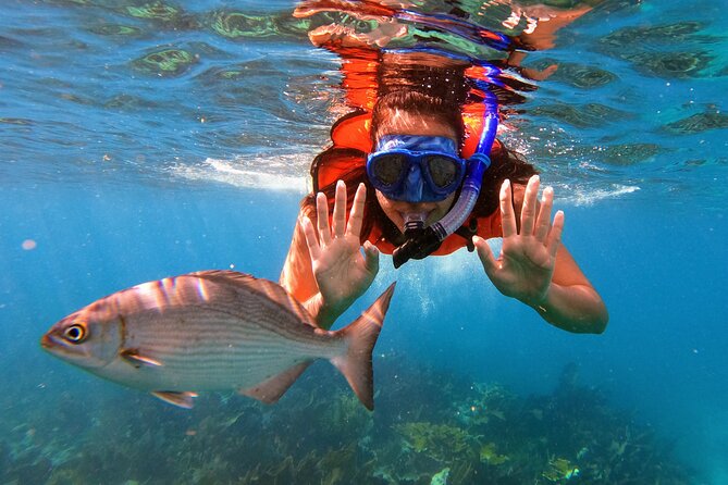 Florida Keys Snorkeling Adventure  - Key Largo - Cancellation Policy