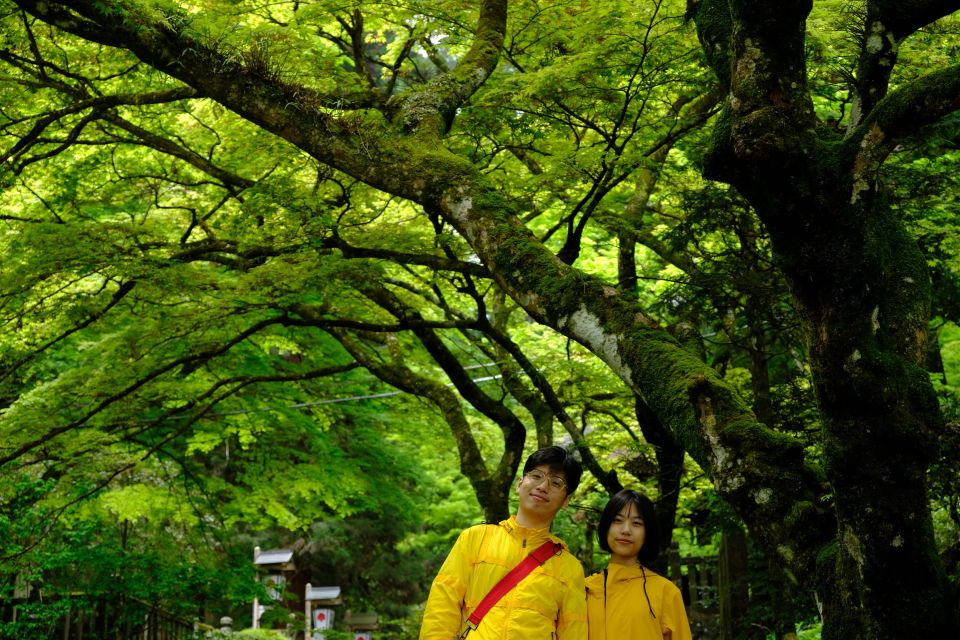Fm Odawara: Forest Bathing and Onsen With Healing Power - Onsen Benefits