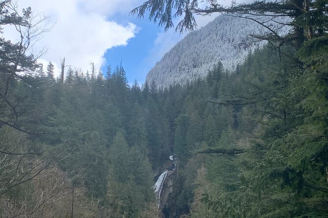 Forest Hike to Gorgeous Twin and Snoqualmie Falls - Customer Reviews