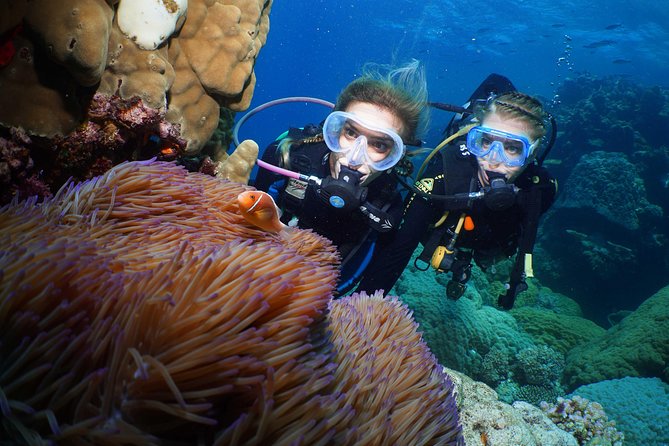 Four-Day PADI Gold Open Water Dive Certification, Port Douglas - Meeting Point Details