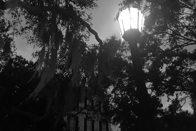 Fraidy Cat: The Family Fun Ghost Tour of Savannah - Customer Reviews