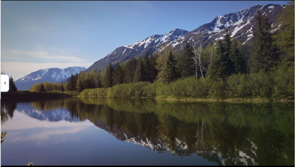 From Anchorage: Wilderness, Wildlife, & Glacier Experience - Explore Majestic Glaciers