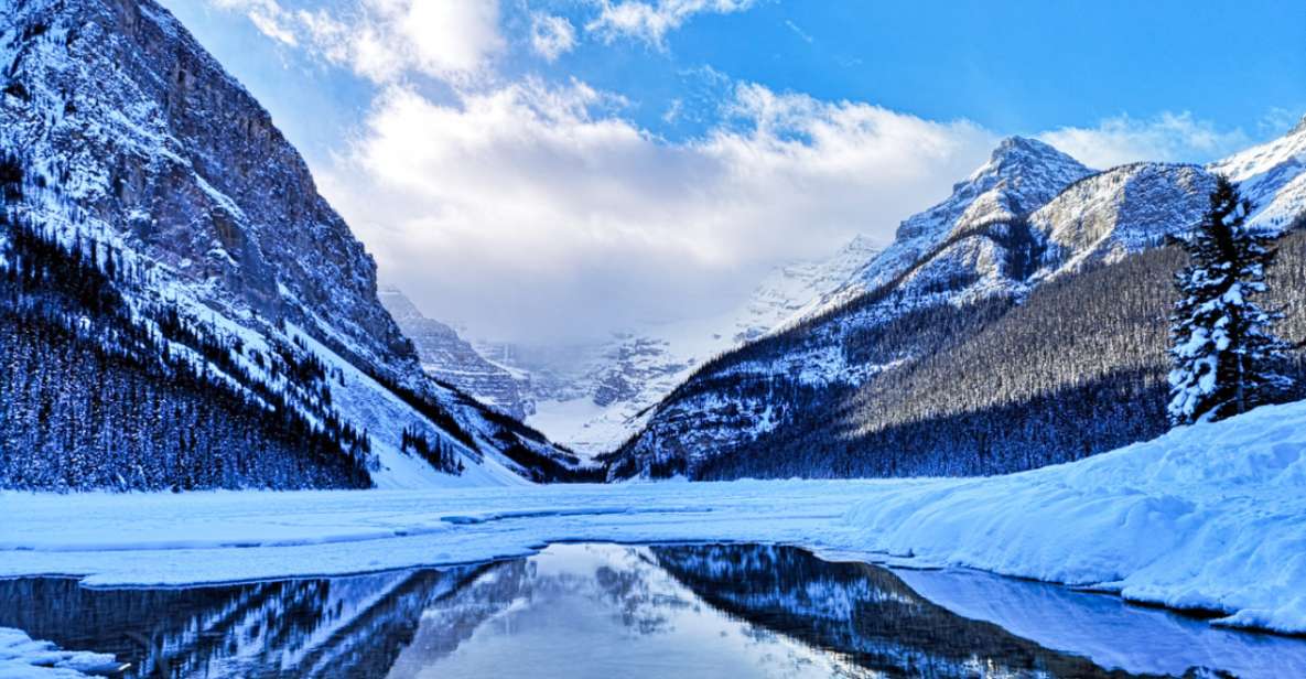 From Banff & Canmore: Lake Louise Winter Experience - Expert Guided Exploration
