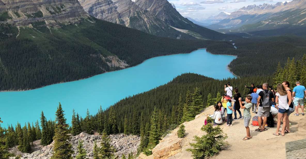 From Banff: Icefield Parkway Scenic Tour With Park Entry - Pickup Information