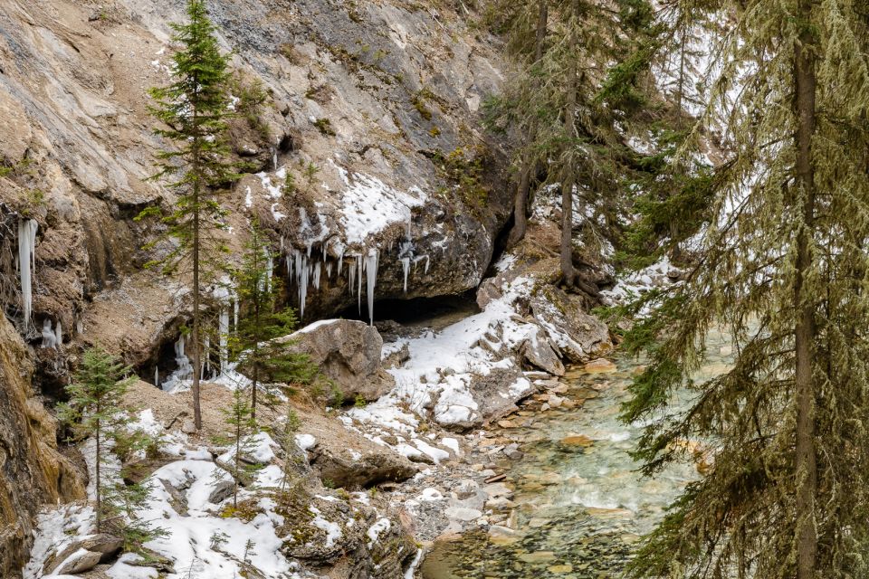 From Banff: Johnston Canyon Guided Icewalk - Full Description
